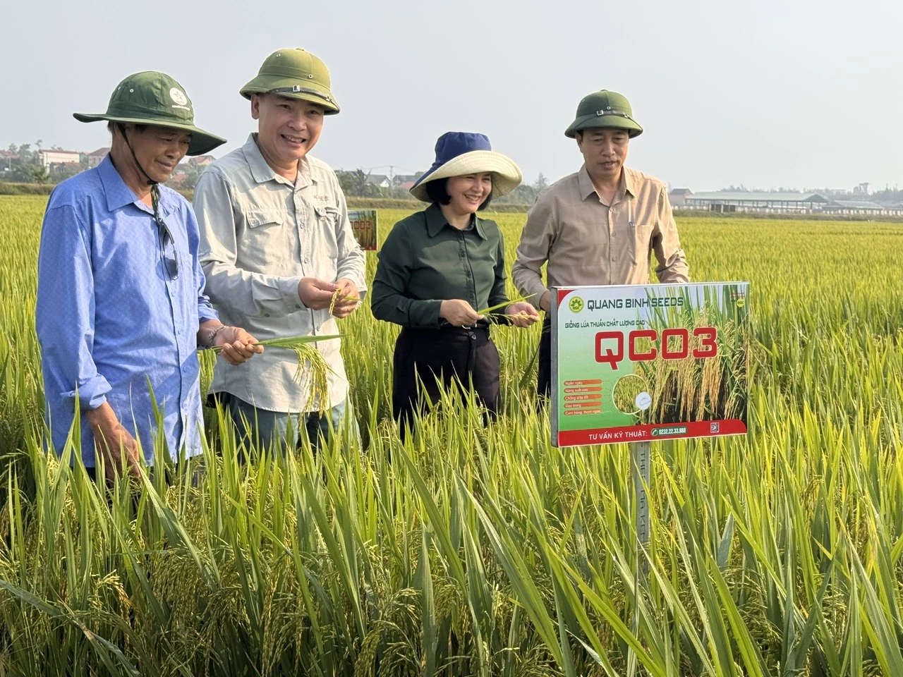Đại diện Sở Nông nghiệp và Môi trường cùng các đơn vị liên quan kiểm tra tình hình sản xuất các giống lúa mới tại các địa phương - Ảnh: N.H