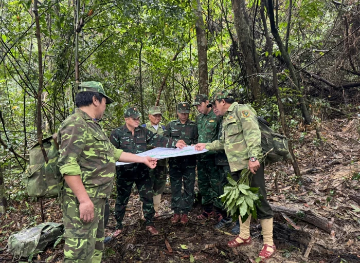 'Canh lửa' ở Vườn Quốc gia Phong Nha-Kẻ Bàng