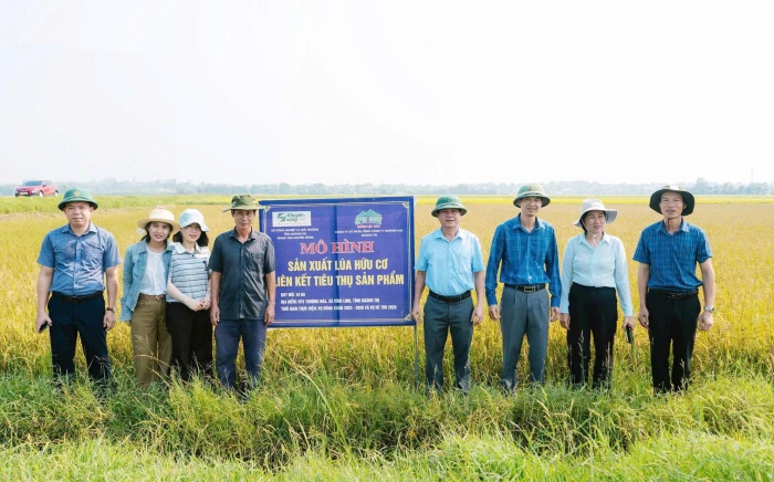 Hơn 9.000ha lúa vụ đông-xuân được liên kết bao tiêu sản phẩm