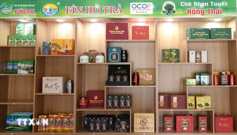 Các sản phẩm trà OCOP của tỉnh Tuyên Quang được trưng bày tại điểm giới thiệu sản phẩm. (Ảnh: Minh Tâm/TTXVN)