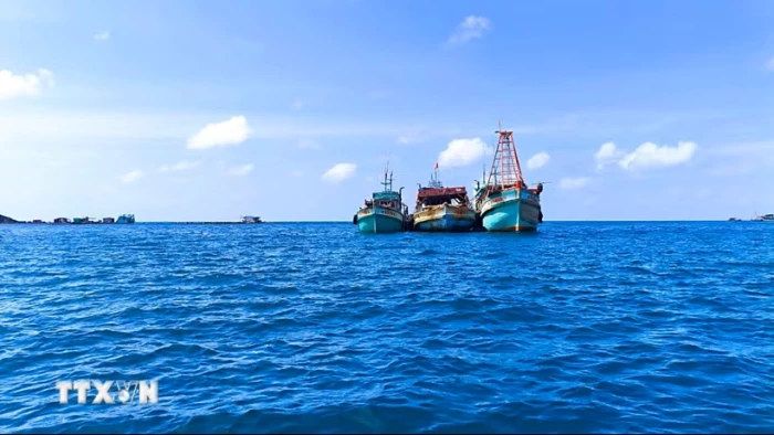 5 tháng đầu năm 2026 xảy ra 355 vụ tai nạn tàu thuyền, làm chết 59 người