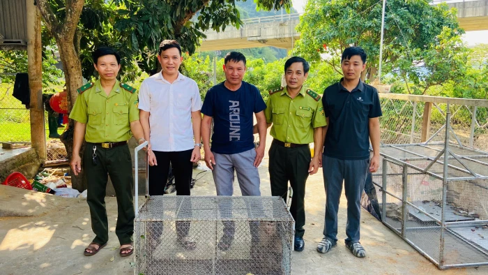 Bàn giao cá thể khỉ đuôi lợn cho Vườn Quốc gia Phong Nha-Kẻ Bàng