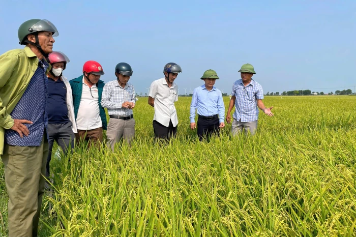 Quảng Ninh: Chủ động các phương án sản xuất vụ hè-thu