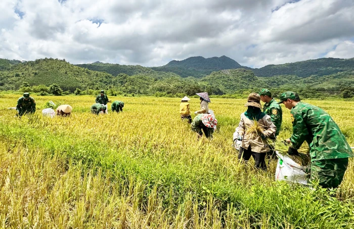 Sắc màu áo xanh trên mùa vàng biên giới