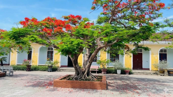 Mùa hoa kỷ niệm