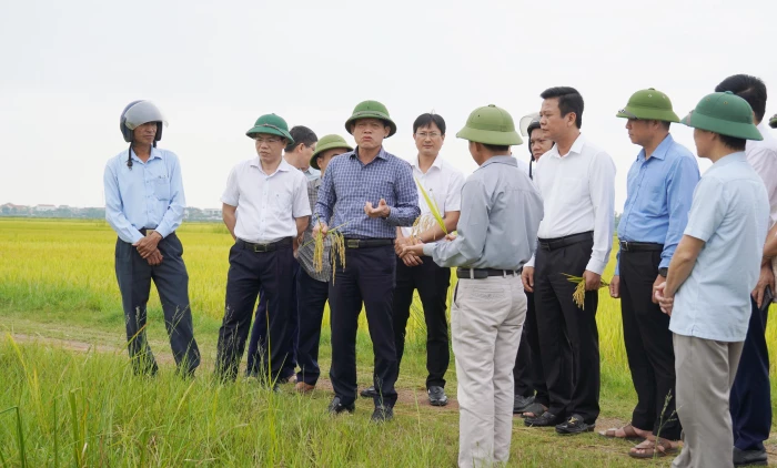 Xã Lệ Thủy phấn đấu hoàn thành xây dựng nông thôn mới trong năm 2026