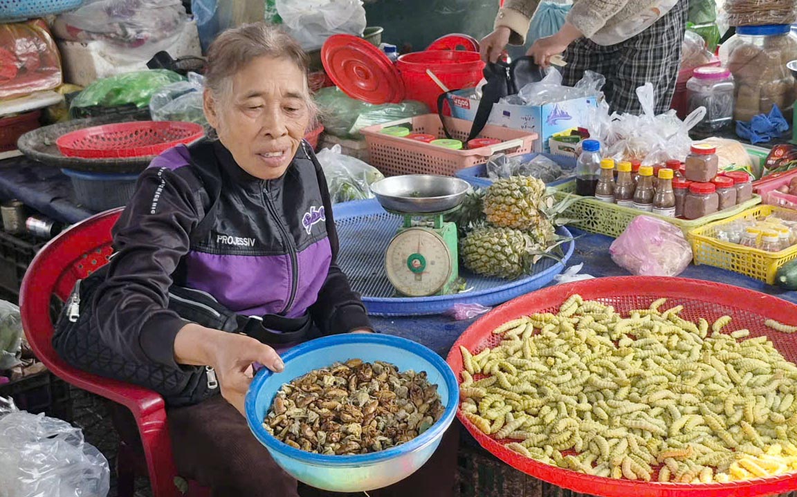 Sản vật rệp (còn gọi là ve sầu) và tằm lá sắn - Ảnh: CH