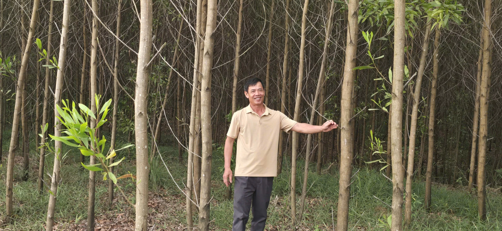 Người dân An Mã bắt đầu phát triển rừng gỗ lớn để nâng cao giá trị kinh tế, bảo vệ môi trường - Ảnh: P.P