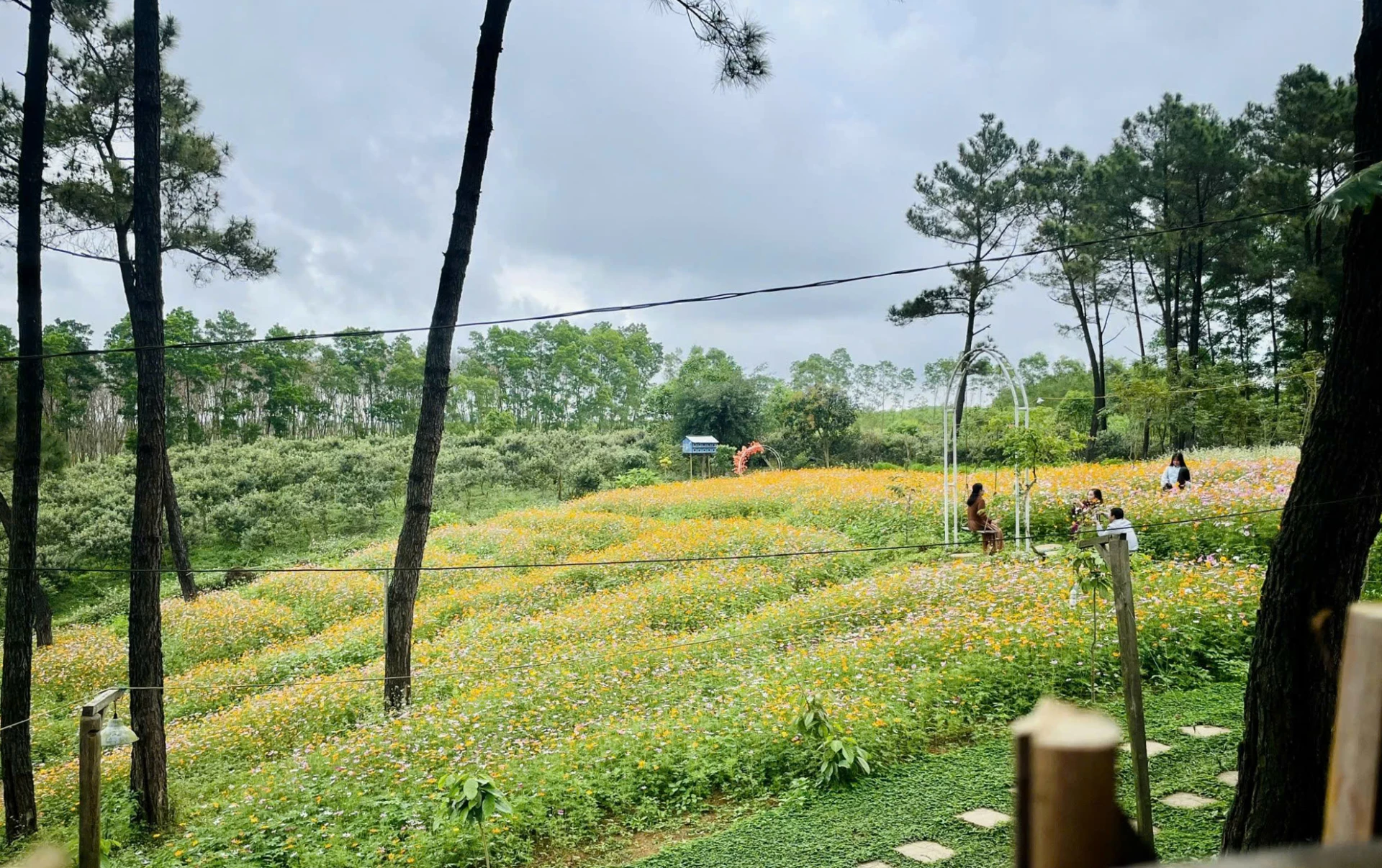 Một góc bình yên tại An Mã Farm - Ảnh: P.P