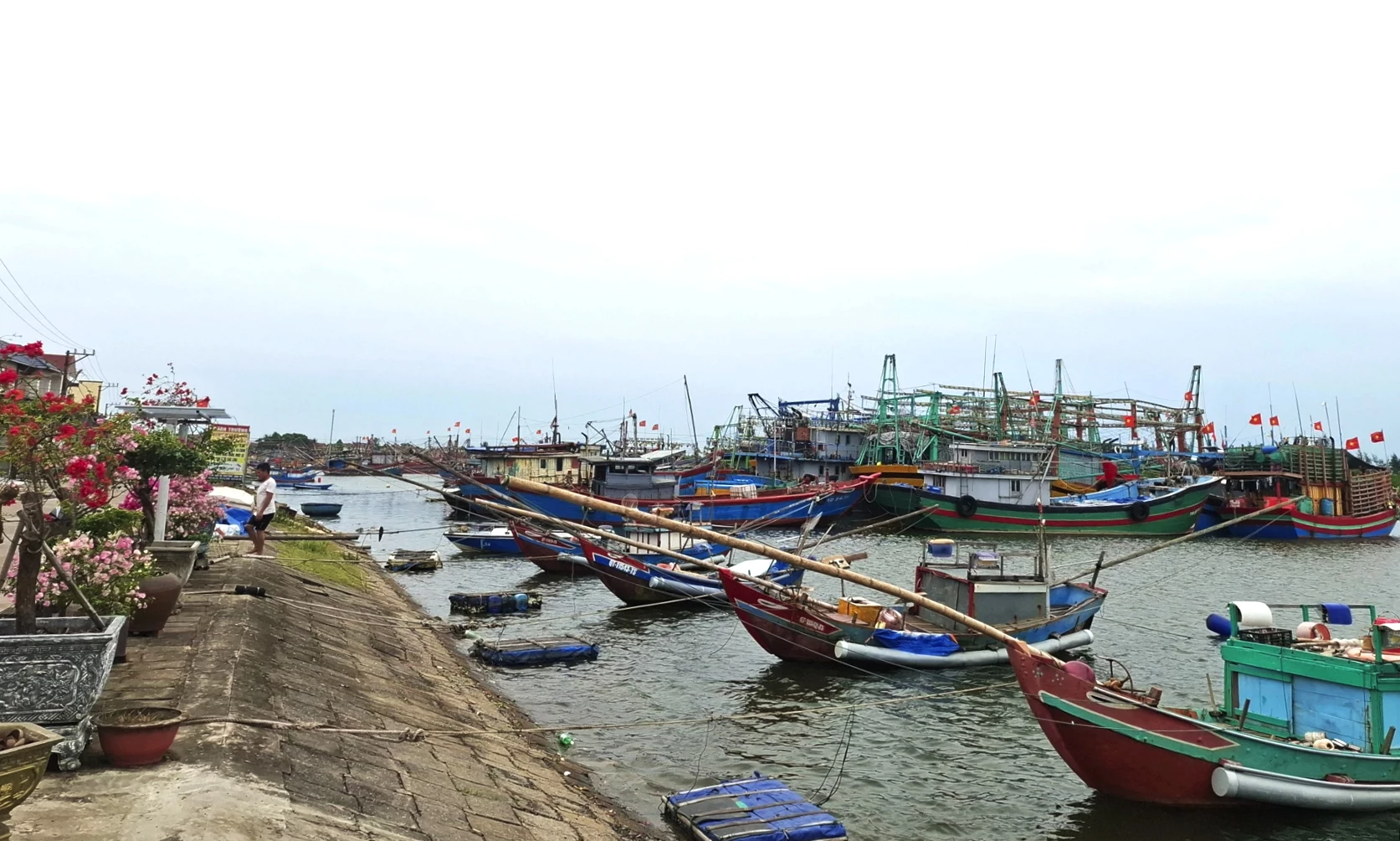 Nhiều tàu cá “nằm bờ” chờ giá xăng, dầu giảm sâu mới tiếp tục ra khơi - Ảnh: S.H