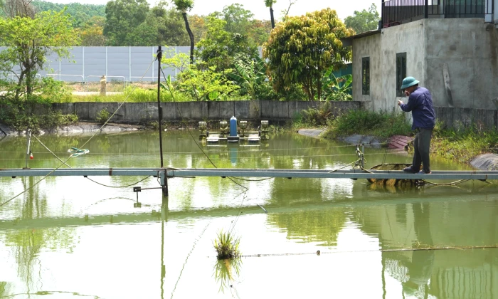 Vượt khó làm giàu