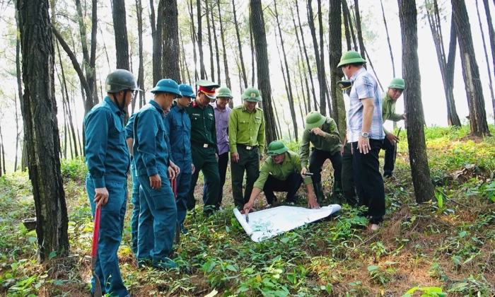 Chủ động các phương án phòng, chống cháy rừng