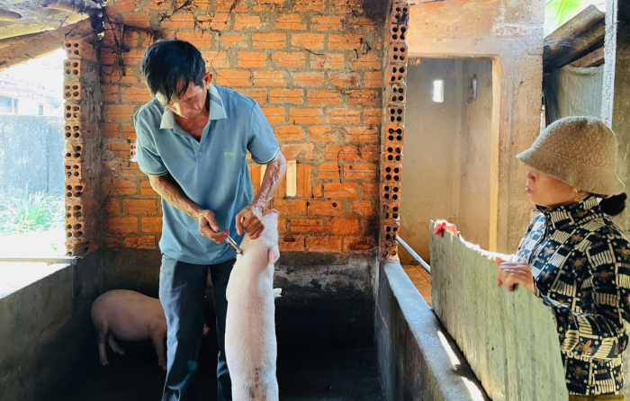 'Lá chắn' bảo vệ đàn vật nuôi