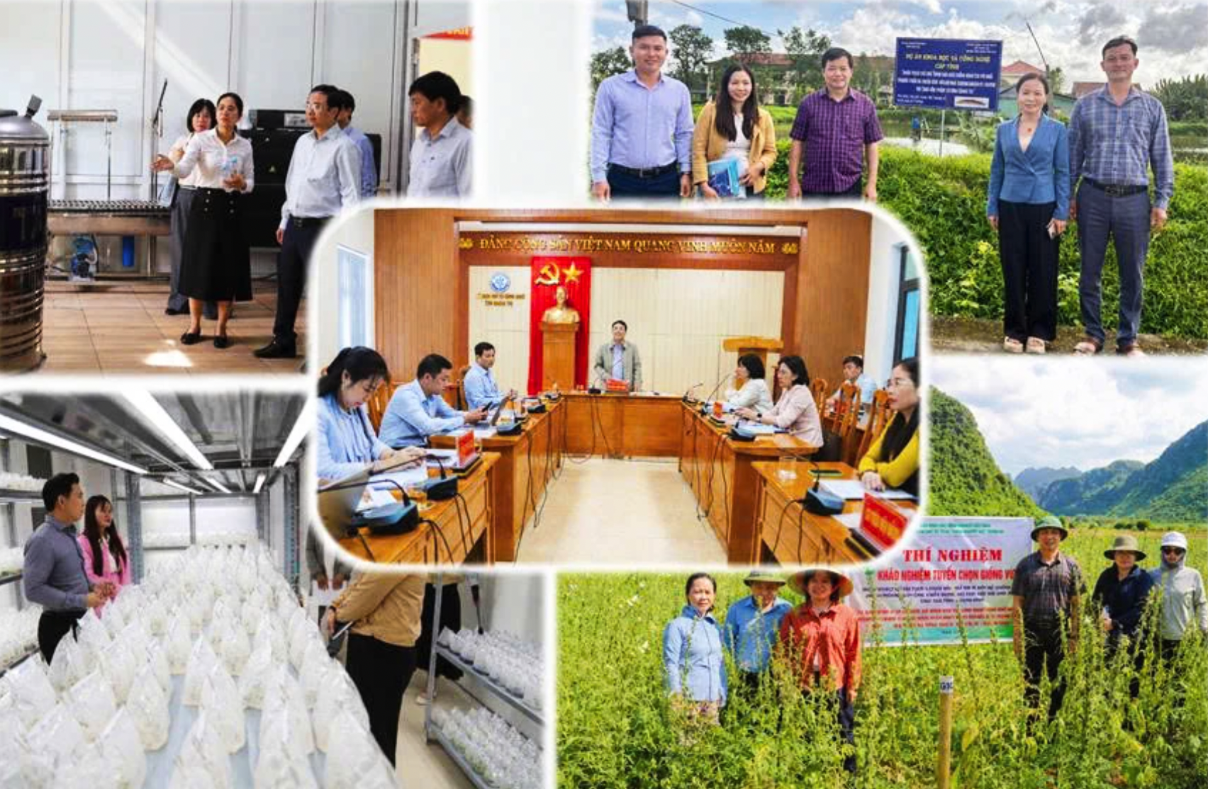 Động lực chính của mô hình tăng trưởng mới