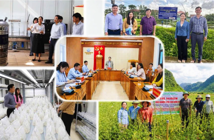Động lực chính của mô hình tăng trưởng mới
