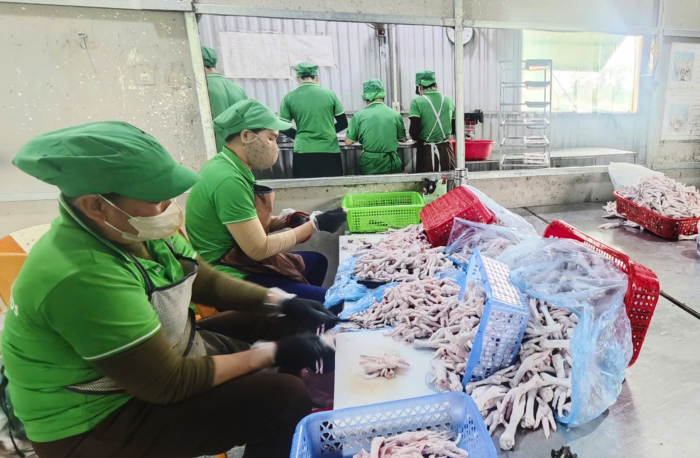 Xử lý nghiêm các hành vi vi phạm trong hoạt động giết mổ động vật