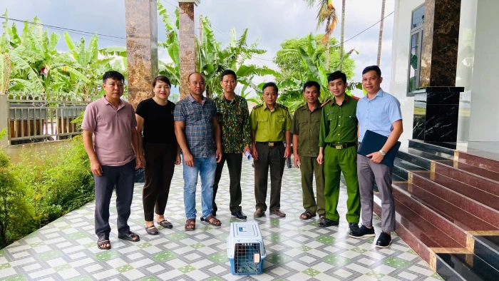 Bàn giao cá thể cu li quý hiếm cho Trung tâm Cứu hộ động vật hoang dã