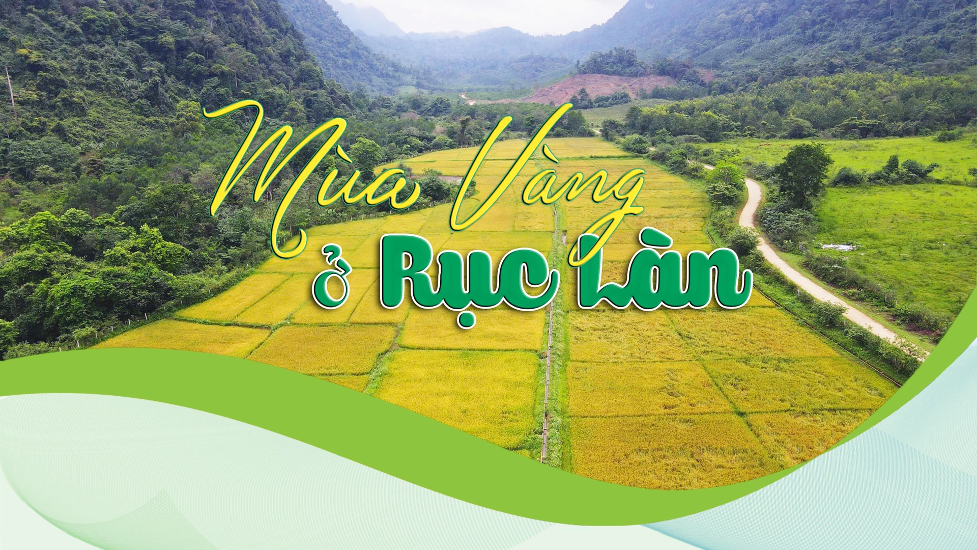 Mùa vàng ở Rục Làn