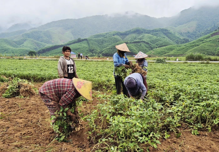 Ba Lòng nâng cao hiệu quả giảm nghèo
