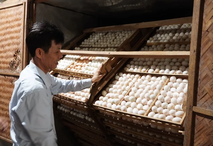 Làm giàu trên vùng đất khó