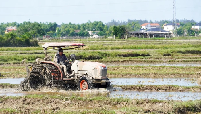 Bắc Gianh chủ động sản xuất vụ hè-thu