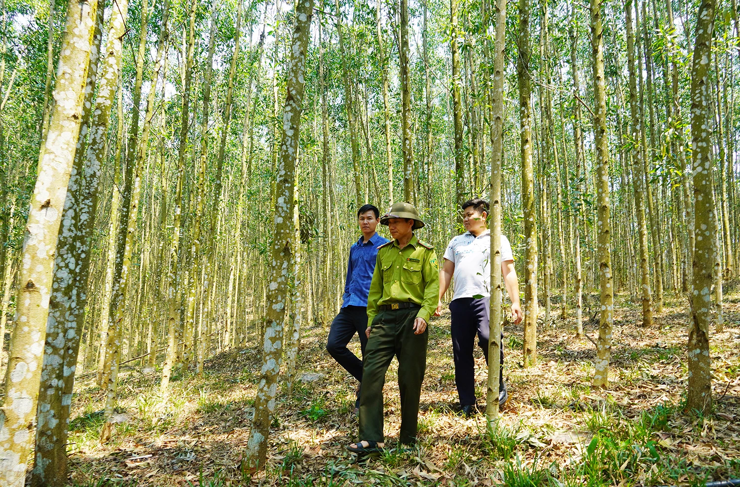Các lực lượng bảo vệ rừng xã Tân Thành tuần tra, kiểm soát rừng - Ảnh: X.V