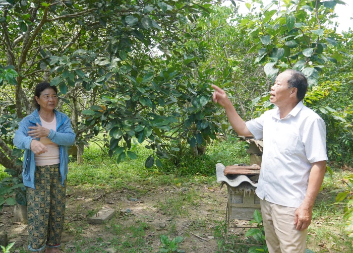 Bí thư chi bộ hết lòng với Nhân dân