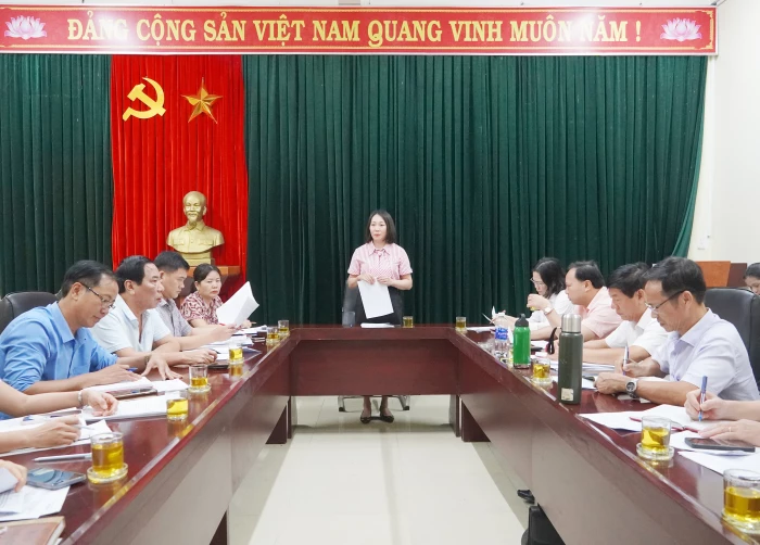 Giám sát việc quản lý hoạt động khai thác khoáng sản gắn với bảo vệ môi trường