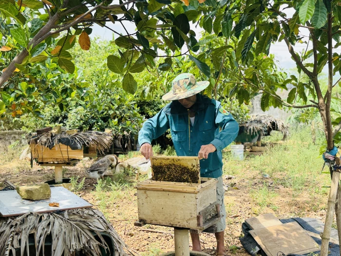 Để vững nghề, bền sinh kế