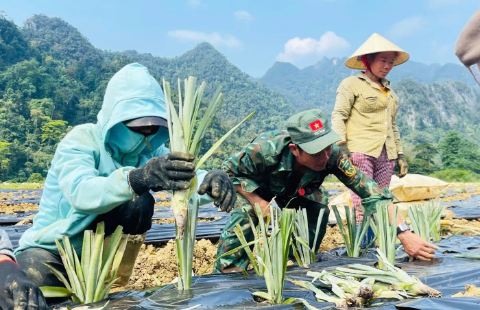 Mô hình sinh kế mới của đồng bào Rục
