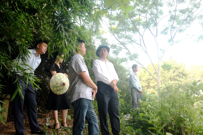 Lãnh đạo tỉnh khảo sát địa điểm người dân qua sông sản xuất bằng bè tạm ở xã Triệu Bình