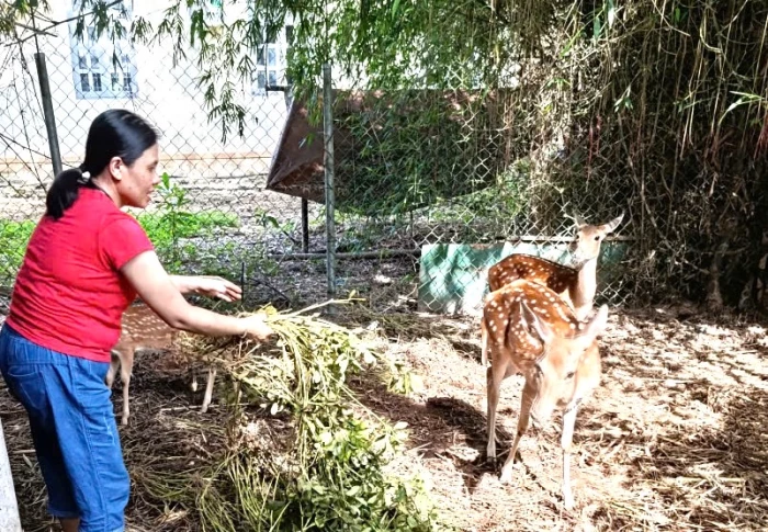 Phụ nữ giúp nhau phát triển kinh tế
