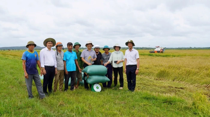 Từ đồng ruộng đến siêu thị