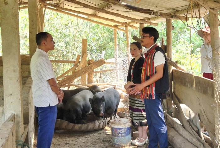Đảng viên tiên phong phát triển kinh tế ở vùng biên