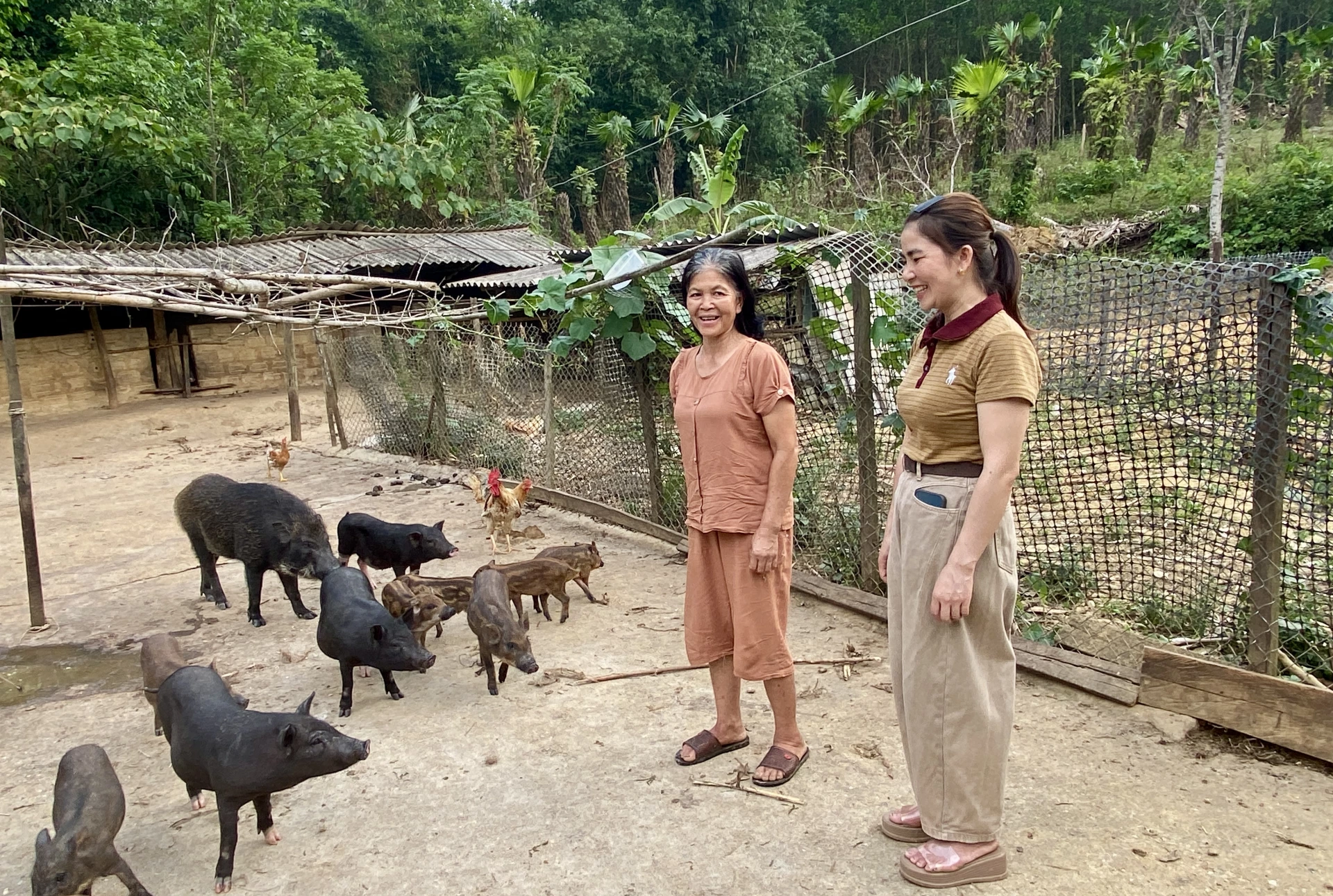Chị Cao Thị Phượng (phải) thăm mô hình chăn nuôi lợn rừng của bà Cao Thị Hường, bản Lương Năng, xã Kim Điền - Ảnh: H.N  