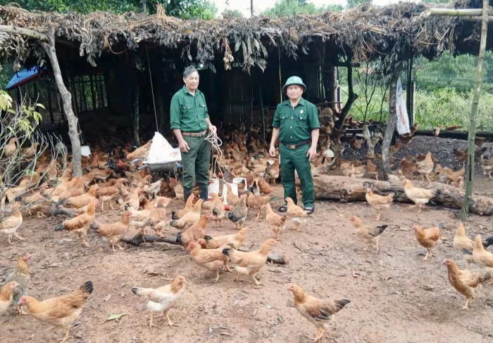 Những cựu chiến binh trên 'mặt trận' mới