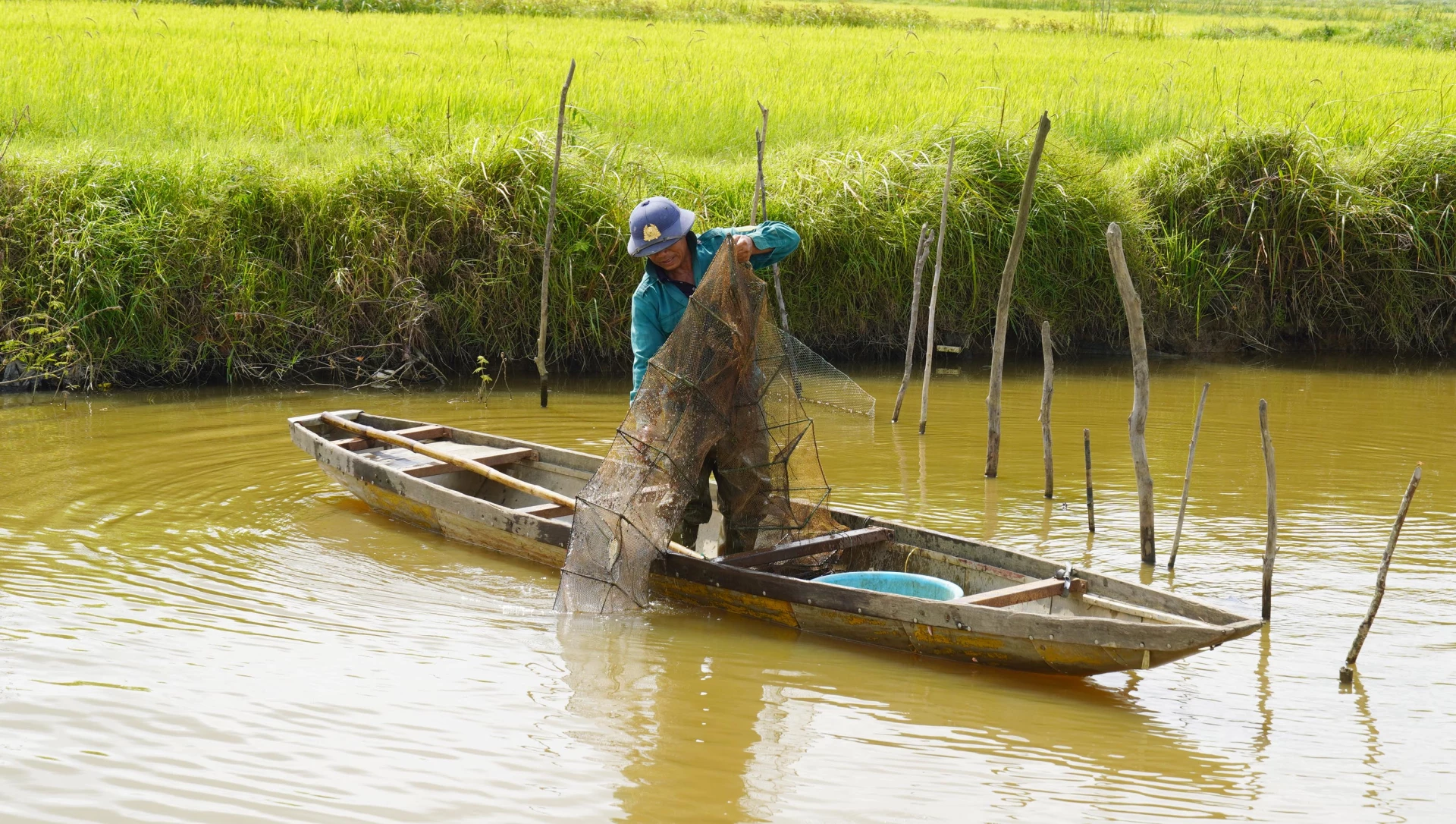 Tiềm năng của những mô hình sản xuất lúa kết hợp chăn nuôi, thủy sản có thể gợi mở cho con đường phát triển mới trên những cánh đồng “độc canh” lúa - Ảnh: C.H