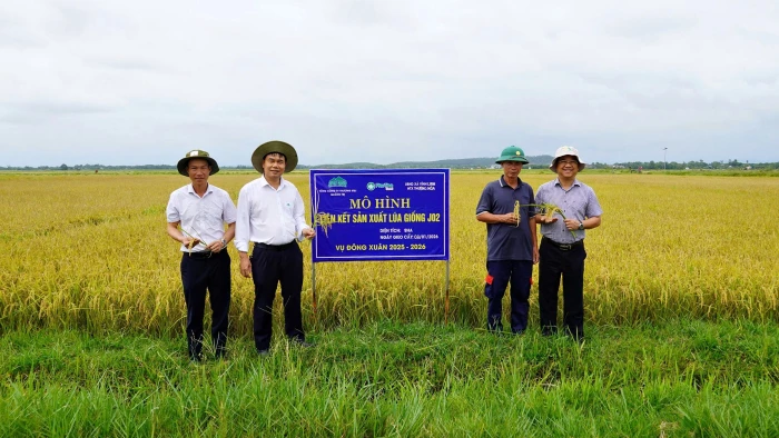 Chủ động liên kết sản xuất