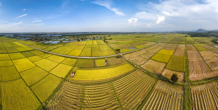 Quảng Trị muôn vẻ: Mùa gặt