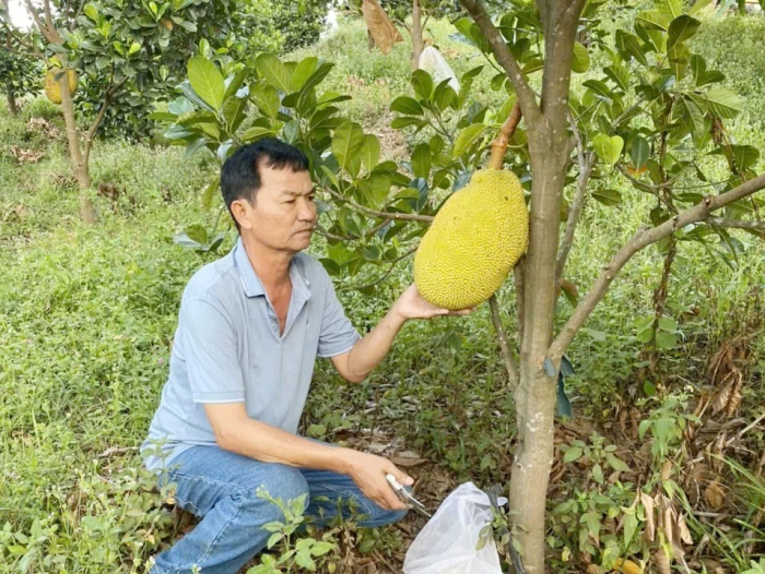 Xây dựng tổ chức hội hoạt động hiệu quả