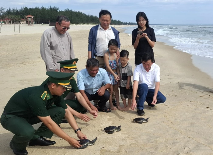 'Duyên nợ' với rùa biển