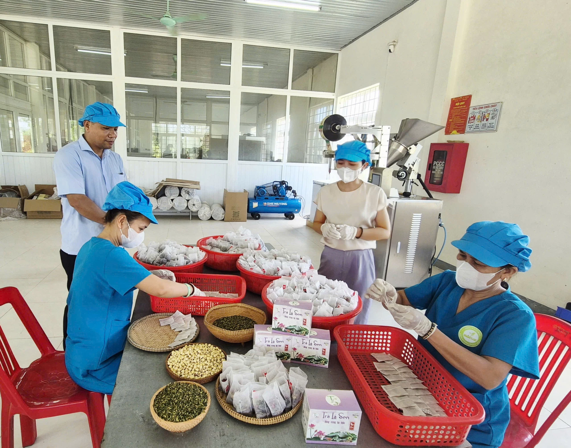 Quy trình chế biến các sản phẩm từ sen tại Hợp tác xã Nông sản sen Triệu Sơn - Ảnh: K.S