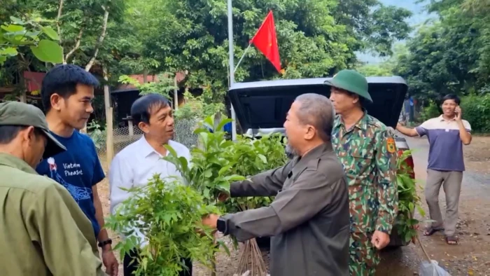 Để rừng thêm xanh