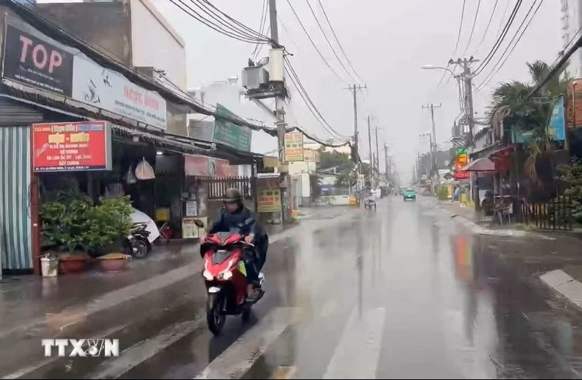 (Ảnh minh họa: Hồng Đạt/TTXVN)