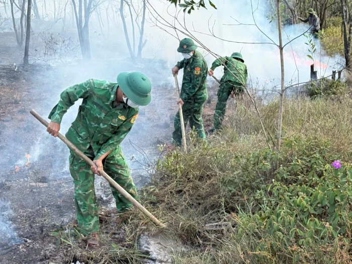 Kịp thời khống chế vụ cháy rừng phòng hộ tại xã Nam Cửa Việt