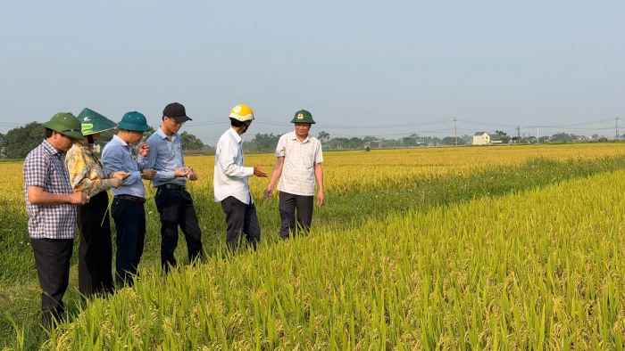Gắn việc học Bác với xây dựng Đảng, phục vụ Nhân dân