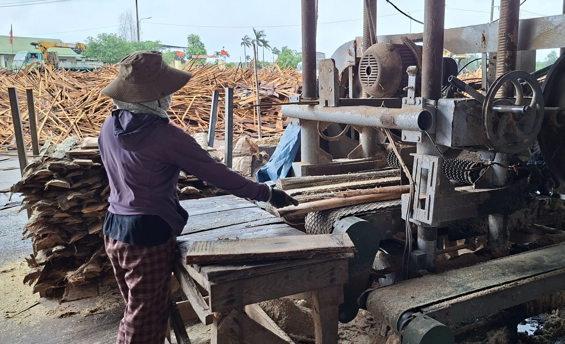 Hoạt động chế biến gỗ của Nhà máy Sản xuất đồ gỗ xây dựng Hoàng Anh 2  - Ảnh: N.V
