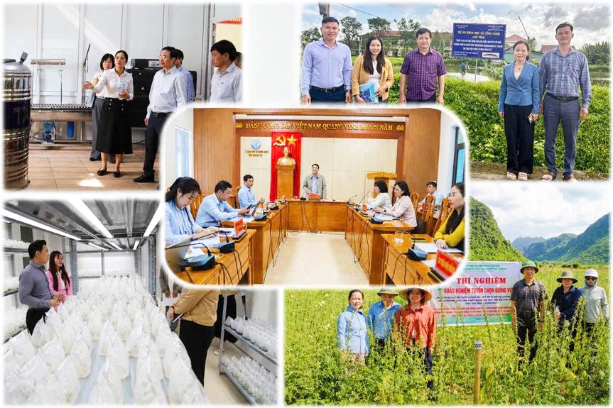 Giai đoạn 2021-2025, toàn tỉnh triển khai 229 nhiệm vụ KHCN các cấp. Ảnh: Sở KHCN
