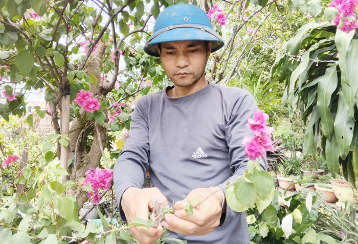 Vượt khó làm giàu