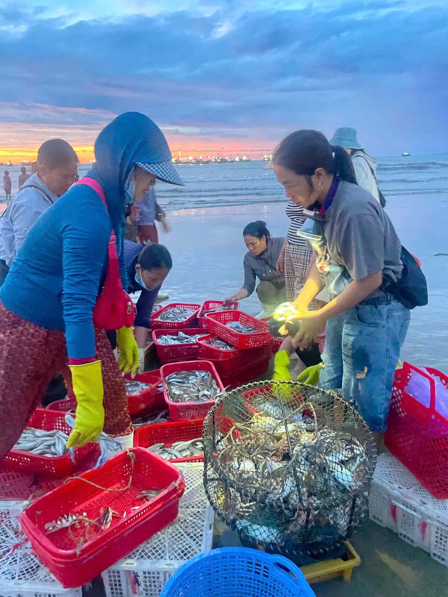 Nhộn nhịp chợ cá lúc bình minh - Ảnh: NGUYỄN HOÀI